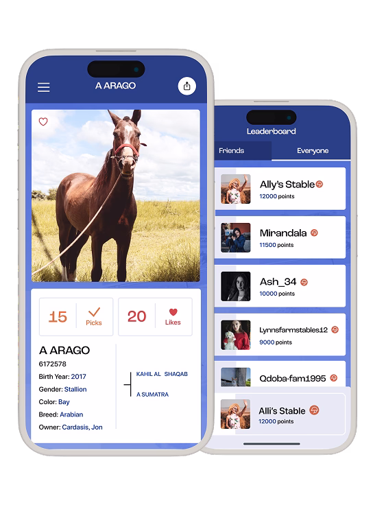 App preview screens